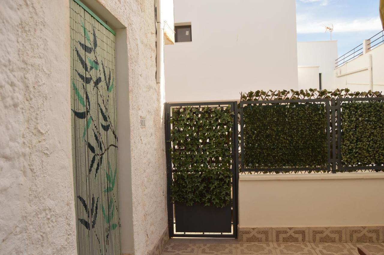 El Limonero La Marina de la Torre